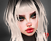 ☯ Meow Black Blonde