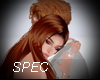 SPEC 01
