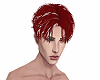 NT- Asellus - Red/Plat