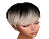 PIXE OMBRE-V2