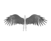 Silver angelic wings