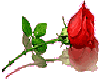 Small Reflective Rose