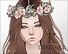 K|Luthy - Derivable