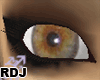 [RDJ] Eye F2