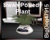 [BD]SwanPottedPlant