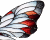 White and orange wings