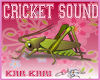 Cricket Sounds :D