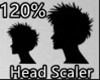 120% HEAD SCALER