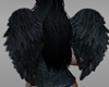 Diable Wings