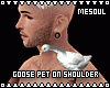 Goose Pet On Shoulder
