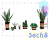 Indoor potted plants set