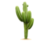 Army kaktus