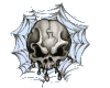 skull on spider web