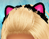Candy Furry Kitteh Ears
