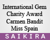 SK|Charity Award IG