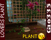 GI*LOVERS PLANT