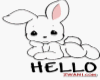 Hello bunny