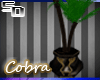 <SD> Palm Cobra