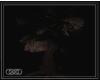  DarkWoods Tree