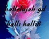 hallelujah 9d