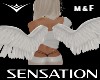 SENSATION  wings M & F