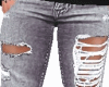 〔Z 〕  Gray Pants