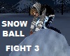 SNOWBALL FIGHT 3