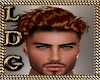 Rust Brown Hairstyle