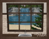 Driftwood Window