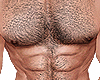 Hairy Body For Man