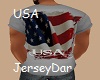 USA Shirt Gray II