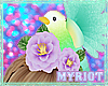 Myriot'RainbowBird