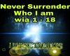 Never Surrender-Who I am