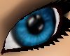 !~DD~! DD Blue Eye