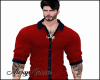 Shirt Sleeve RED2