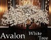 !T Avalon White Tree