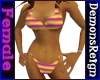 Bikini-Purple/Yel Stripe