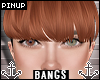 ⚓ | Ava Bangs Copper