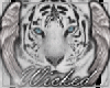 Wicked White Tiger