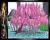Pink Willow Tree