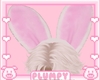 ♡ BunBun Ears ♡