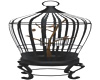 Bird Cage-Animated
