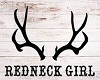 Redneck Girl Poster