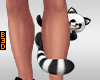 ๖. Raccoon On Leg