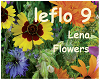 Lena - Flowers