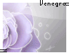 V. Purple rose