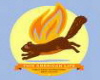 Flaming squirrel tee