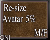 Re-Size Aatar 5%