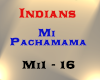 Indians - Mi Pachamama