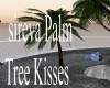 sireva Palm Tree Kisses